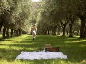 Cedar Tree Farm