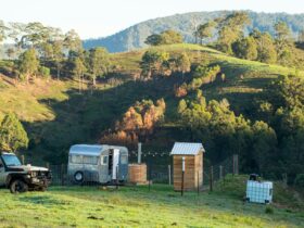 Cedar Valley Farm