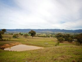 View from Chabara Cottage verandah