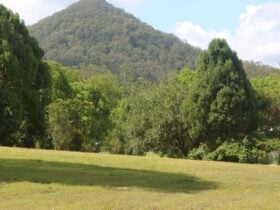 Chowan's Rest