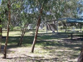 Coach and Horses Campground, Paroo Darling National Park. Photo: Dinitee Haskard/NSW Government