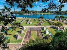 Cockatoo Island Camping