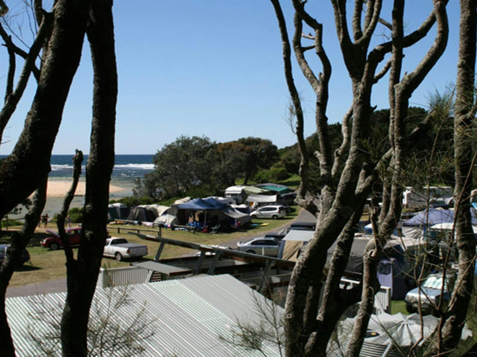 Campers at Congo campground in Eurobodalla National Park. Photo: Christina Bullivant/DPIE