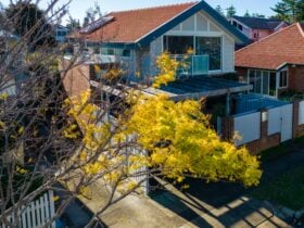 Holiday accommodation in Cooks Hill