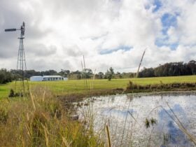 Coomba Little Farm