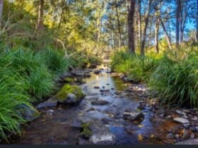 Creek Side Campground