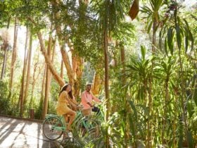 crystalbrook byron bicycles