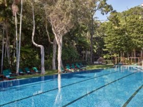 Crystalbrook Byron infinity pool