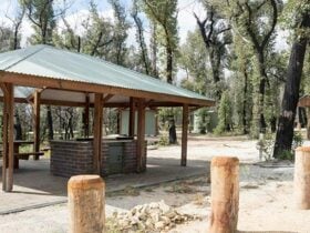 Sheltered barbecue facilities, Cypress Pine campground, Boonoo Boonoo National Park. Photo: Leah