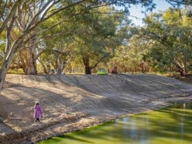 Campsite along the bank of Darling River in Kinchega National Park. Photo: John Spencer/DPIE