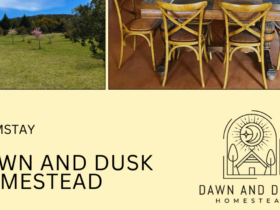 Dawn And Dusk Homestead | Farm Stay
