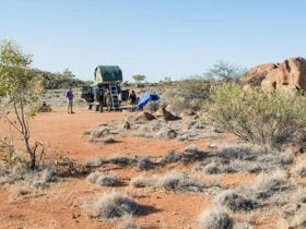 Dead Horse Gully campground, Sturt National Park. Photo: John Spencer