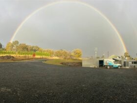 Rainbow