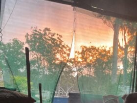 Deergun Bush Camp