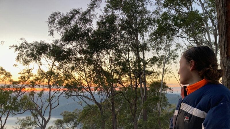 Dreamadua Forest Camp