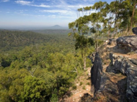 Dreamadua Forest Camp