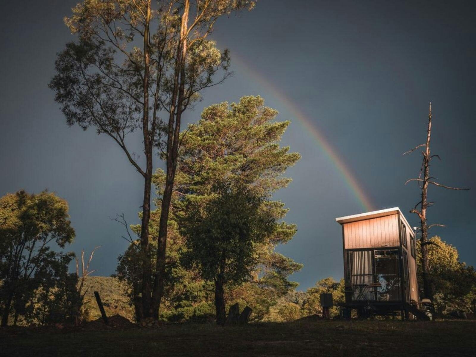 Dreams Alpaca Farm rainbow