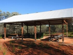 Photo of picnic tables and a barbecue under a shelter at Dry Tank campground and picnic area at