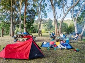 Tent and campers at Dunphys campground, Blue Mountains National Park. Photo: Simone Cottrell/OEH