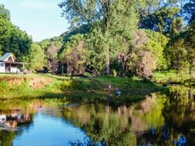 The main waterhole.