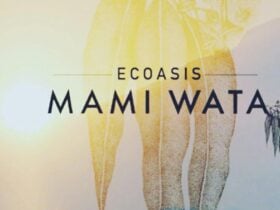 Ecoasis Mamiwata
