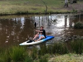 Edendale Farm- 4mins from beach