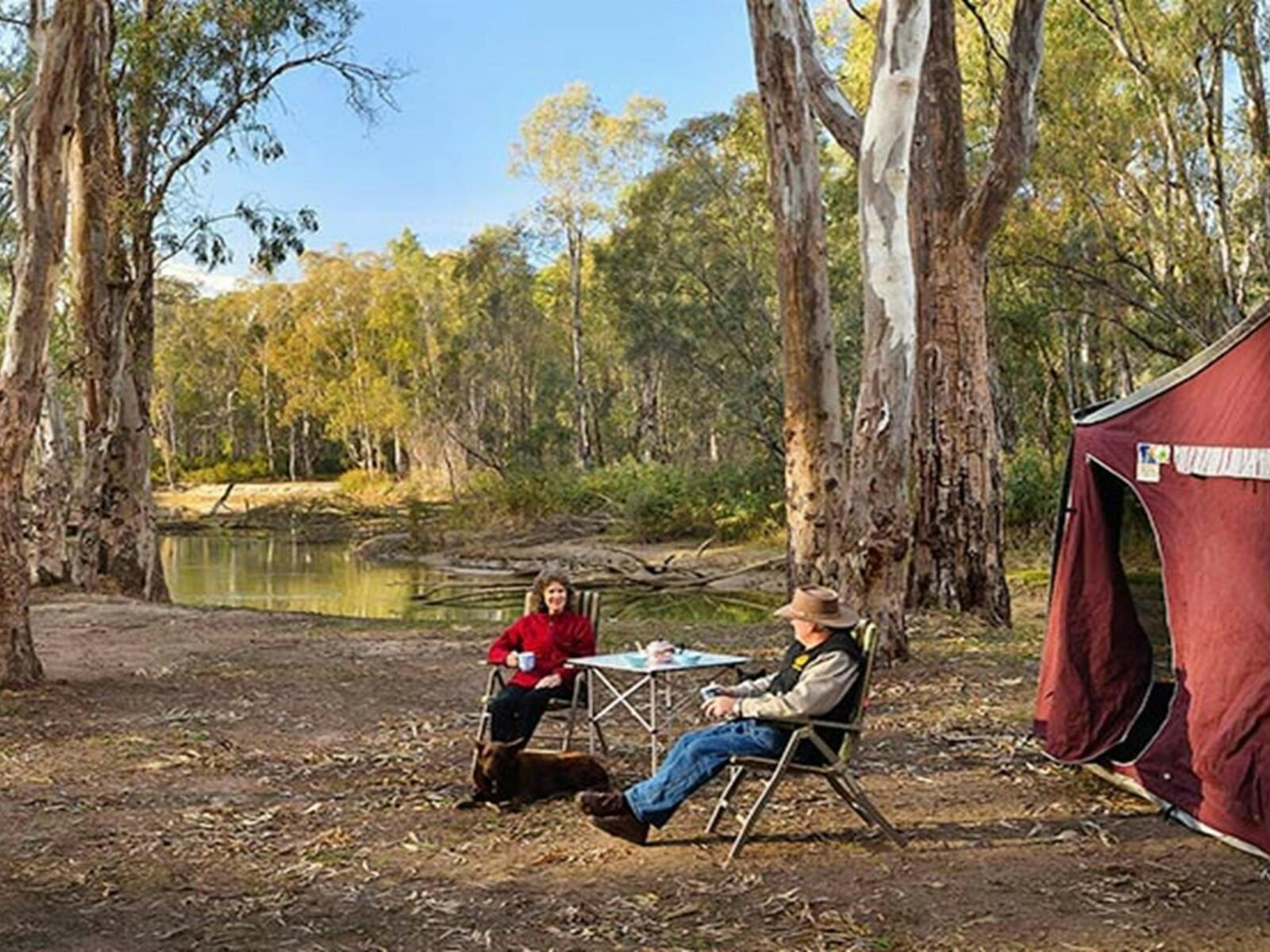 Edward River Bridge campground, Murray Valley National Park. Photo: Gavin Hansford/NSW Government