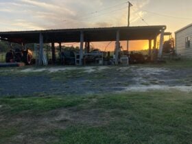 Ellangowan Equine Retreat