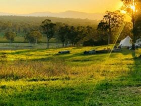 A view over the property