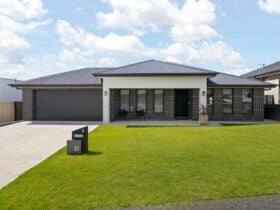 Grass with driveway