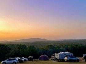 Fame Mountain Camp - pets welcome