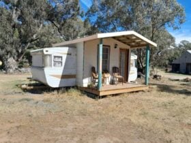 Cabin