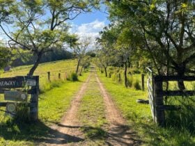 Faraway Farm