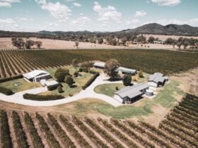 famers quarters nestled amongst a working vineyard