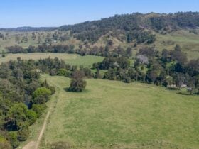 Figtree Camping & Glamping