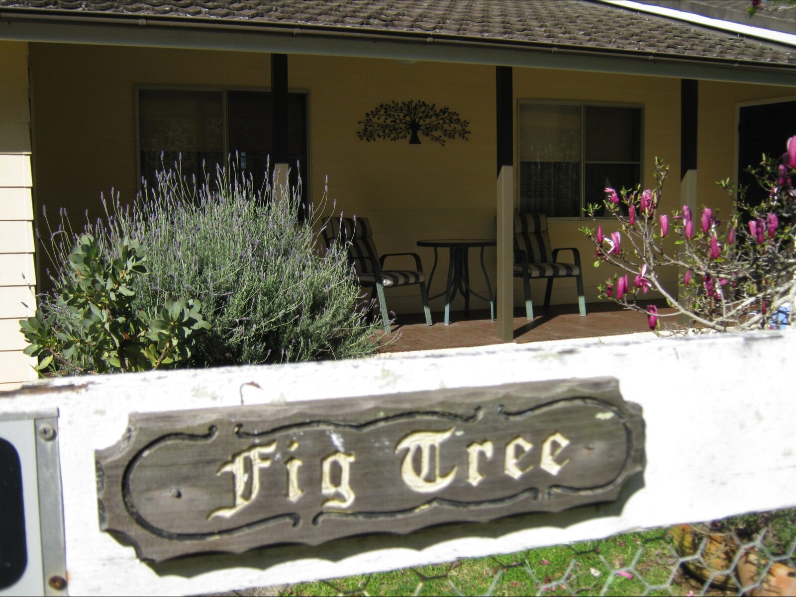 At the front gate of Figtree Cottage
