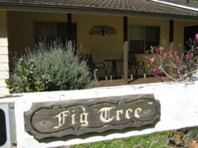At the front gate of Figtree Cottage