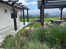 BBQ, pergola, firepit, outdoor bath