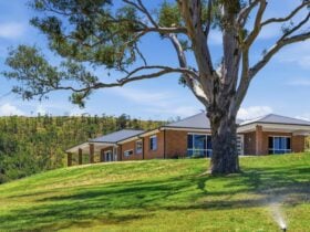 Frances Talbot House with a shaded place to sit