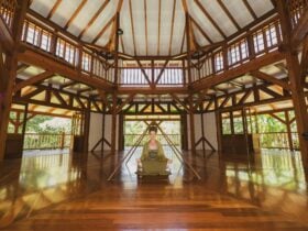 Meditation workshops