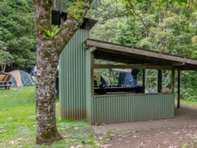 Picnic shelter at Forest Tops campground, Border Ranges National Park. Photo credit: John Spencer