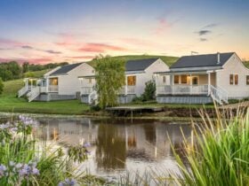 1 & 2 Bedroom holiday homes on farm near Byron Bay & Bangalow
