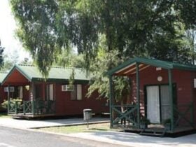 Two Cabins side by side with large shady tree branch hanging over cabin in foreground