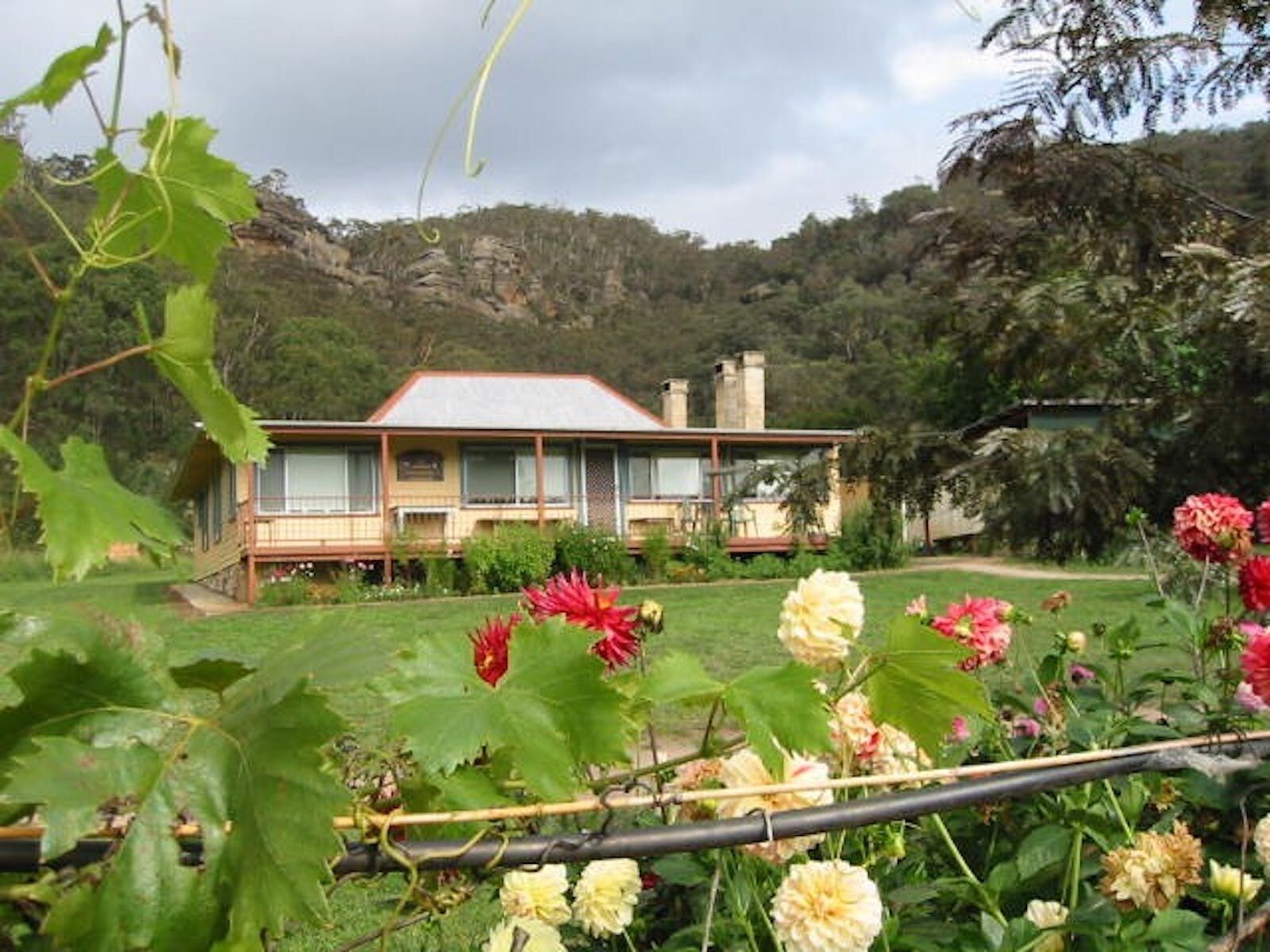 Woodhouse from the garden