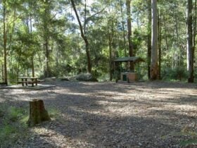 Gap Creek facilities, Watagans National Park. Photo: Susan Davis/DPIE