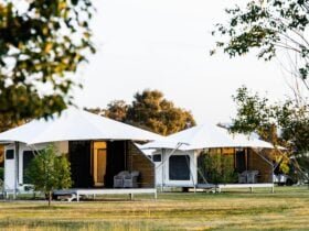 Two glamping tents on the property