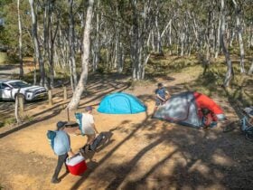 A group of campers at Glendora campground. Credit: John Spencer/DCCEEW © DCCEEW