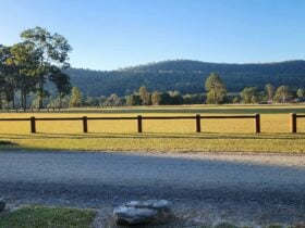 Glenreagh Recreation Reserve Camping