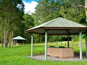 Gloucester River campground, Barrington Tops National Park. Photo: John Spencer/DPIE