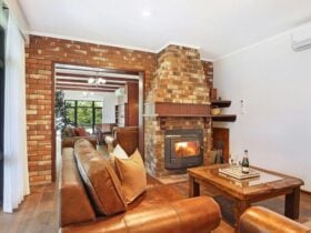 19d3a1b3 5937 C2b1 0f36 9888fcee8e8b E5gjs4w